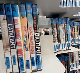 World languages DVDs