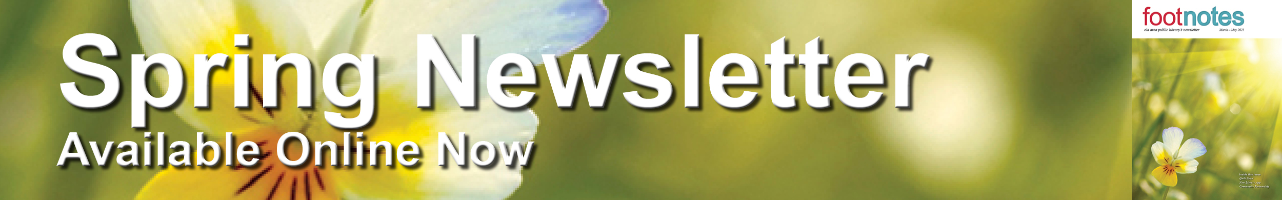 Image of Yellow Flowers