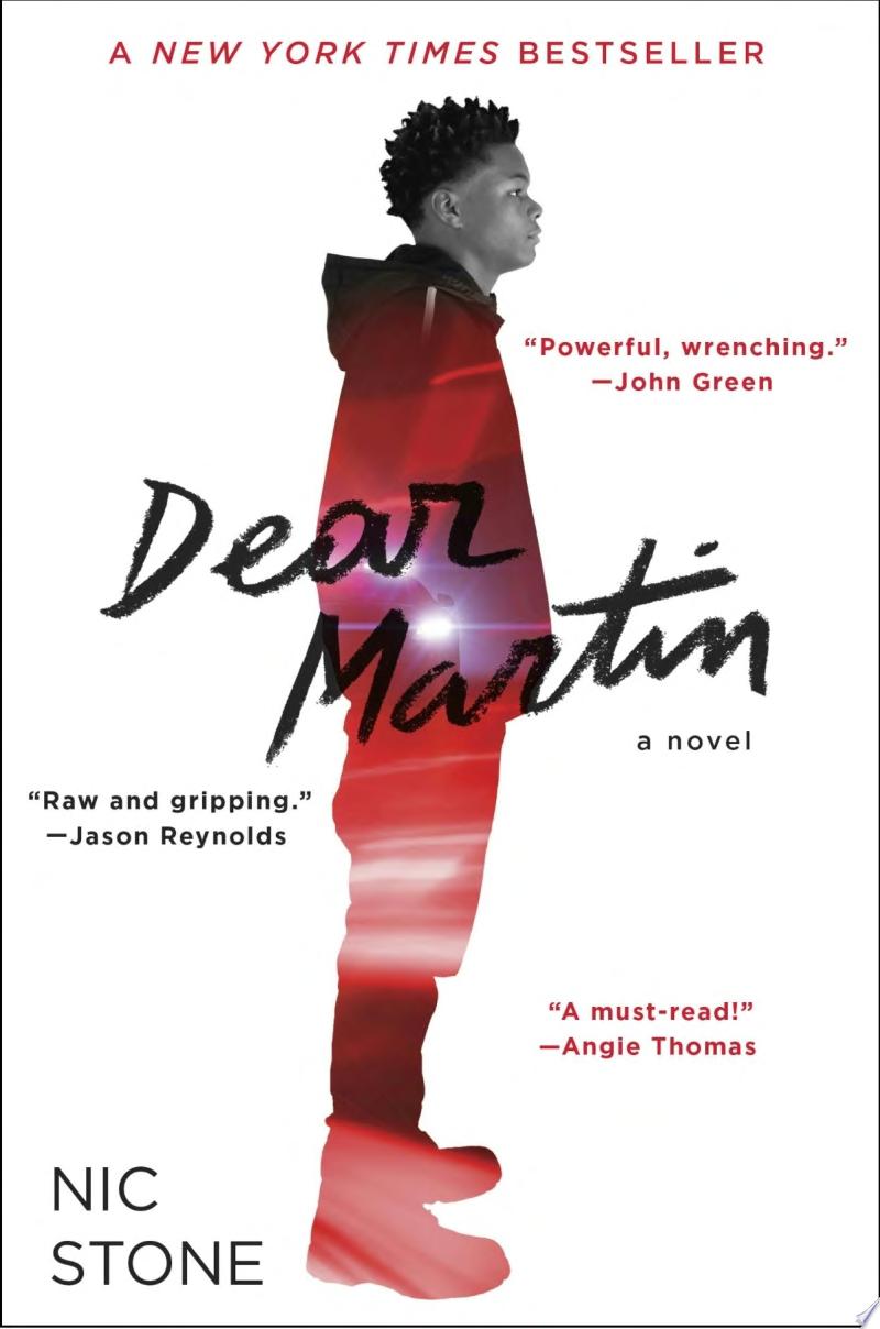 Image for "Dear Martin"