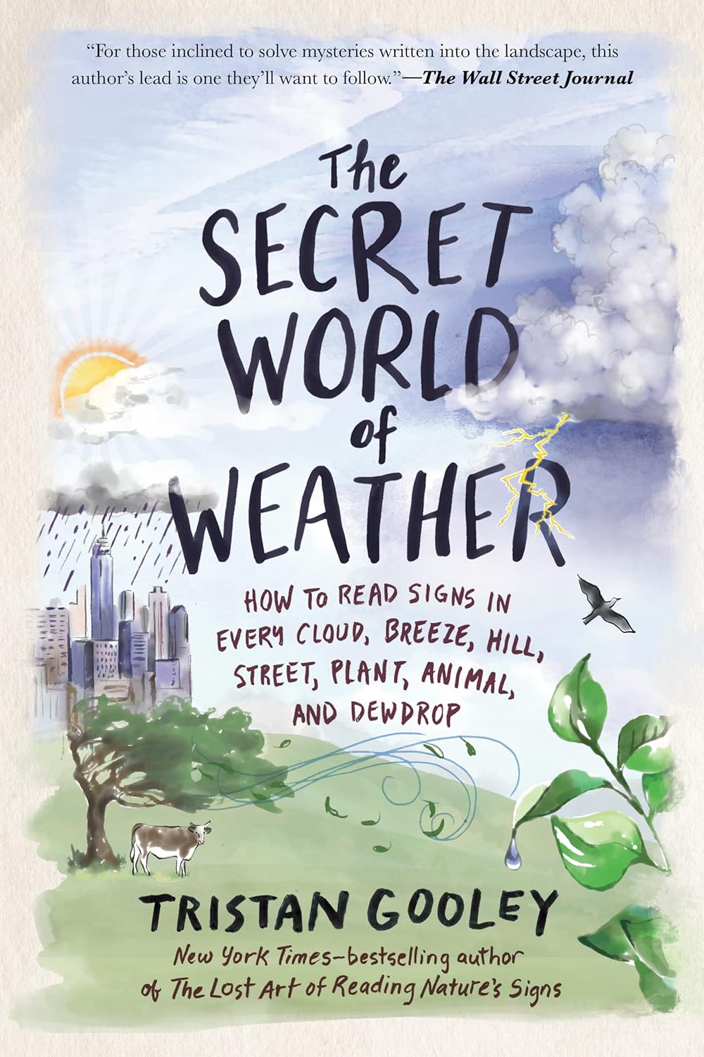 Image for "The Secret World of Weather"