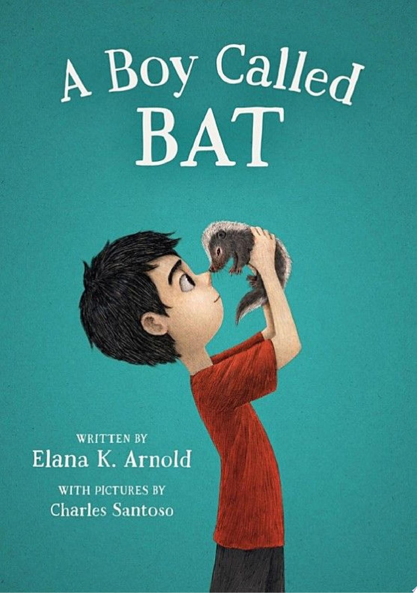 Image for "A Boy Called Bat"