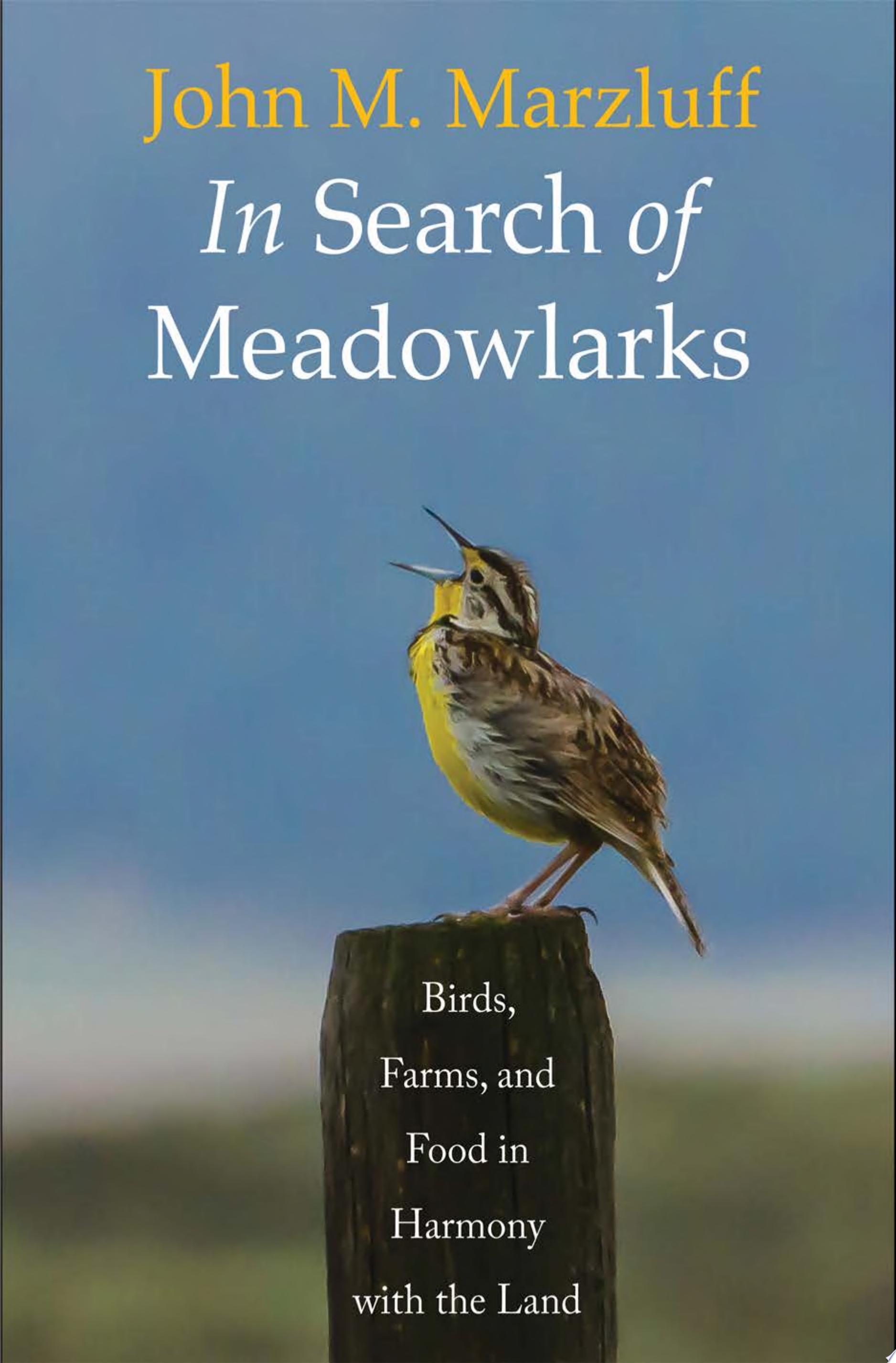 Image for "In Search of Meadowlarks - Birds, Farms, and Food in Harmony with the Land"
