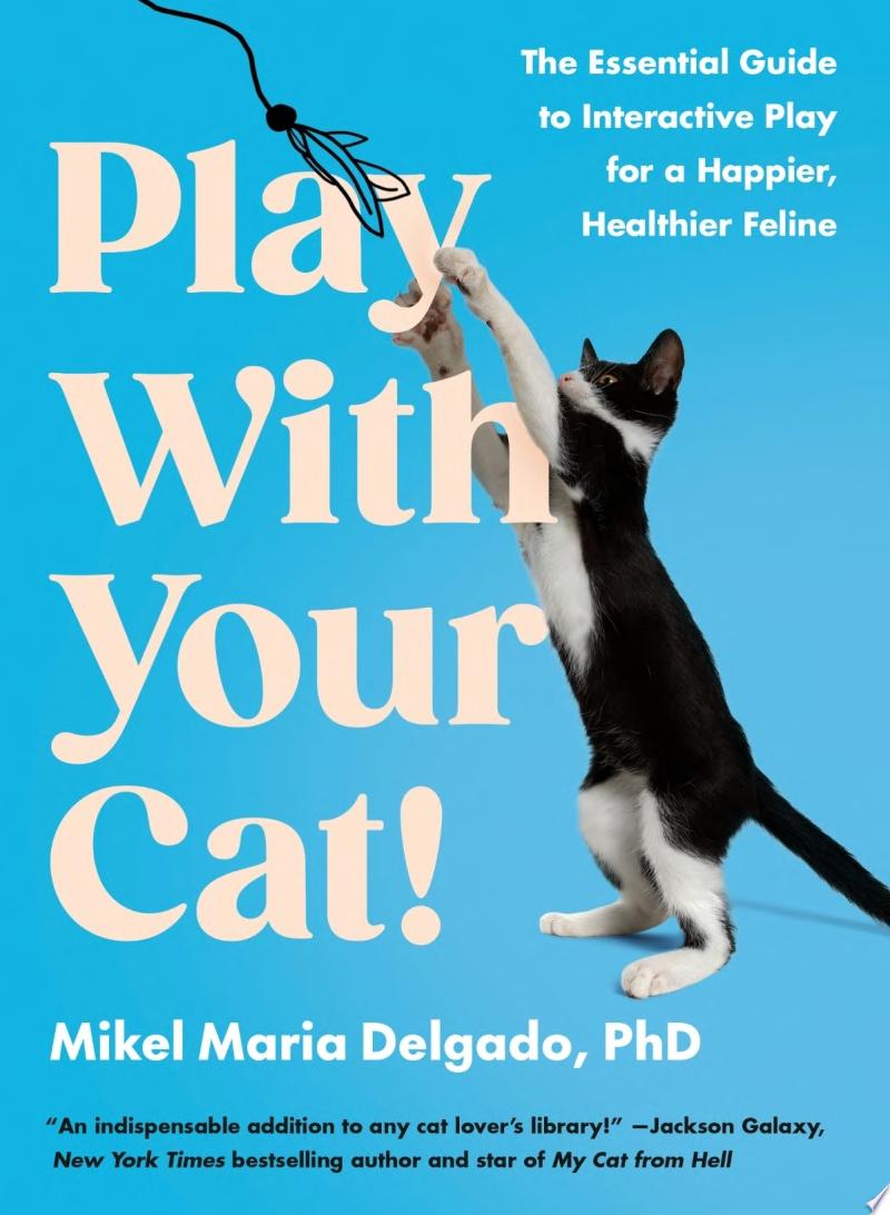 Image for "Play With Your Cat!"