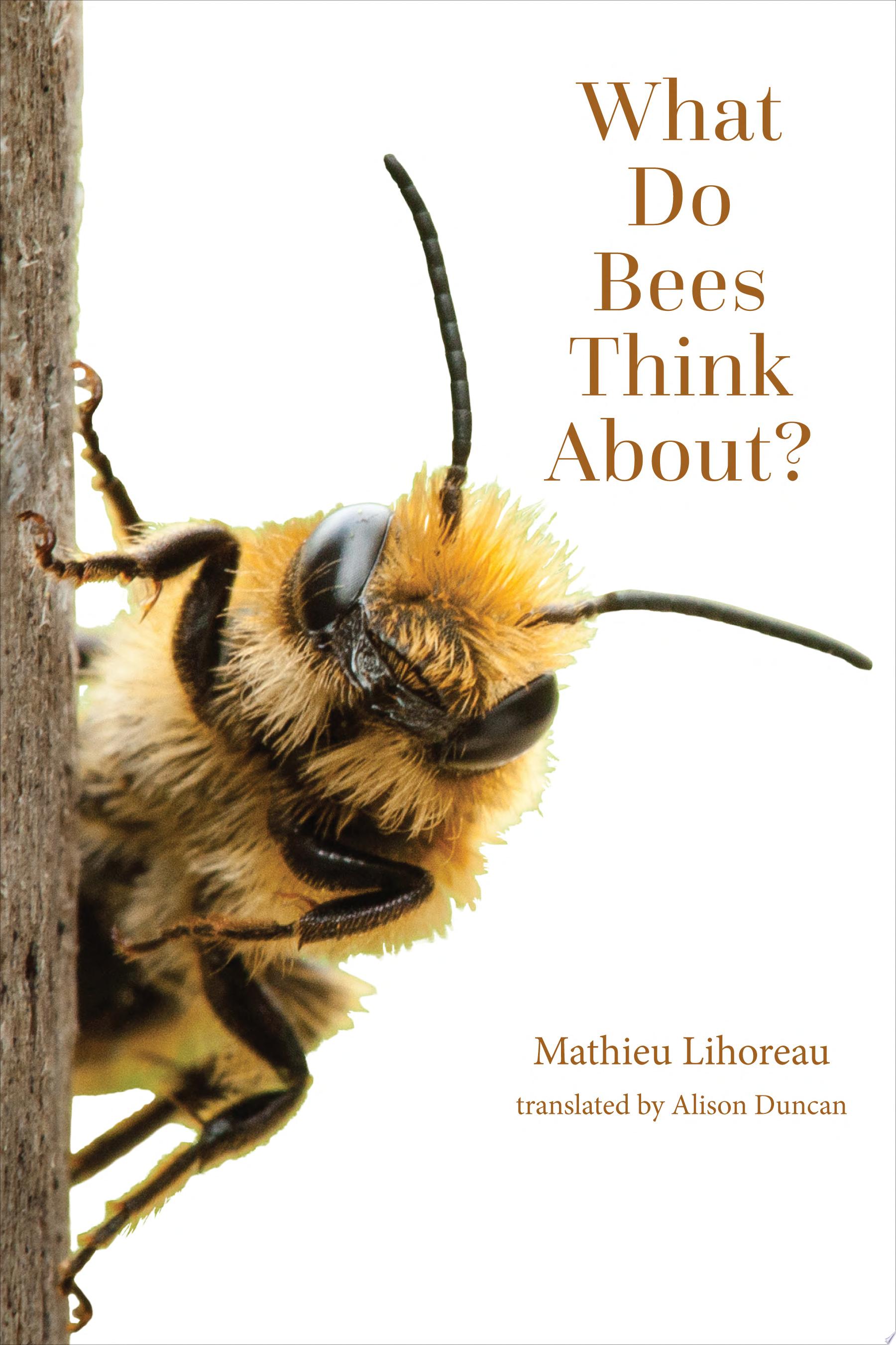 Image for "What Do Bees Think About?"