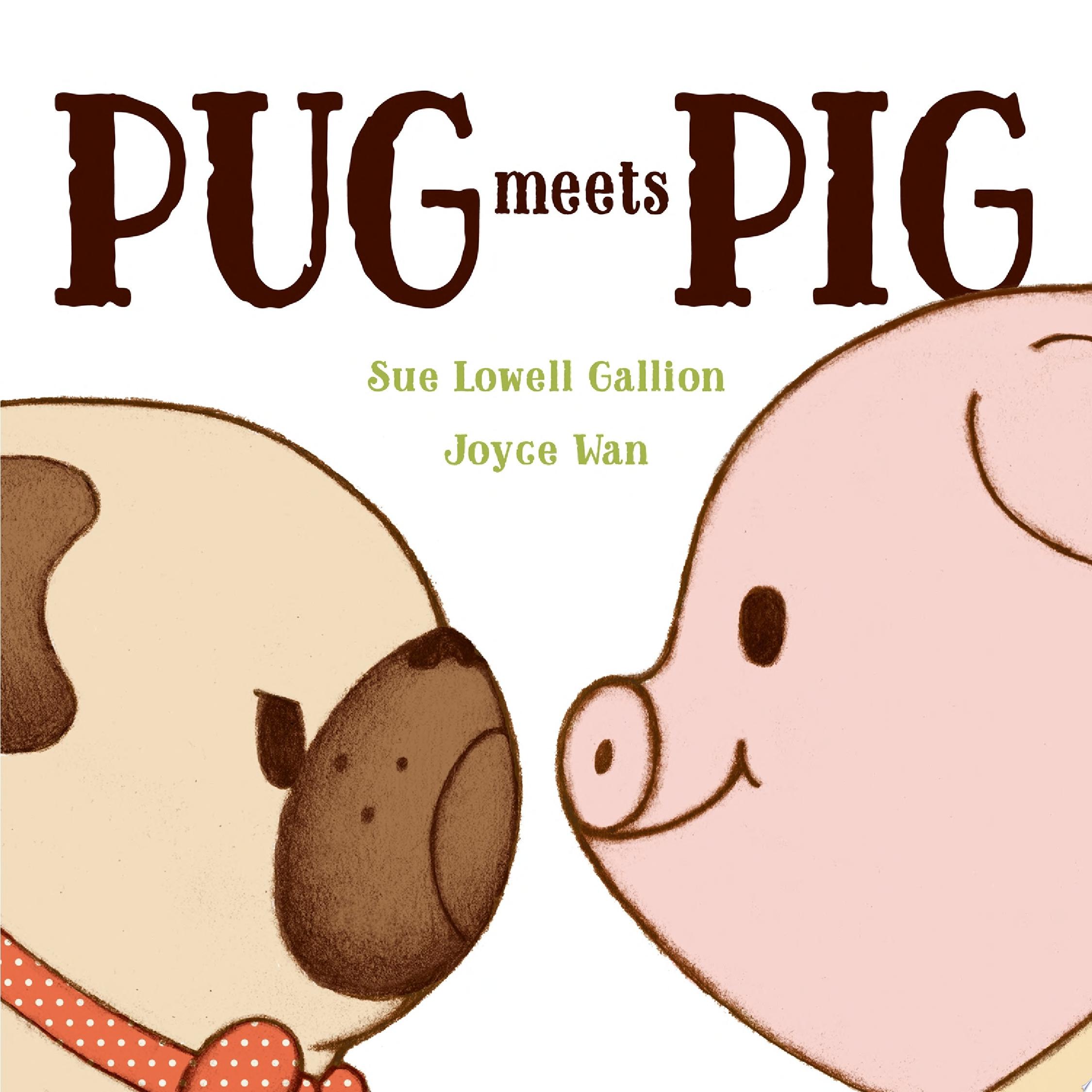 Image for "Pug Meets Pig"