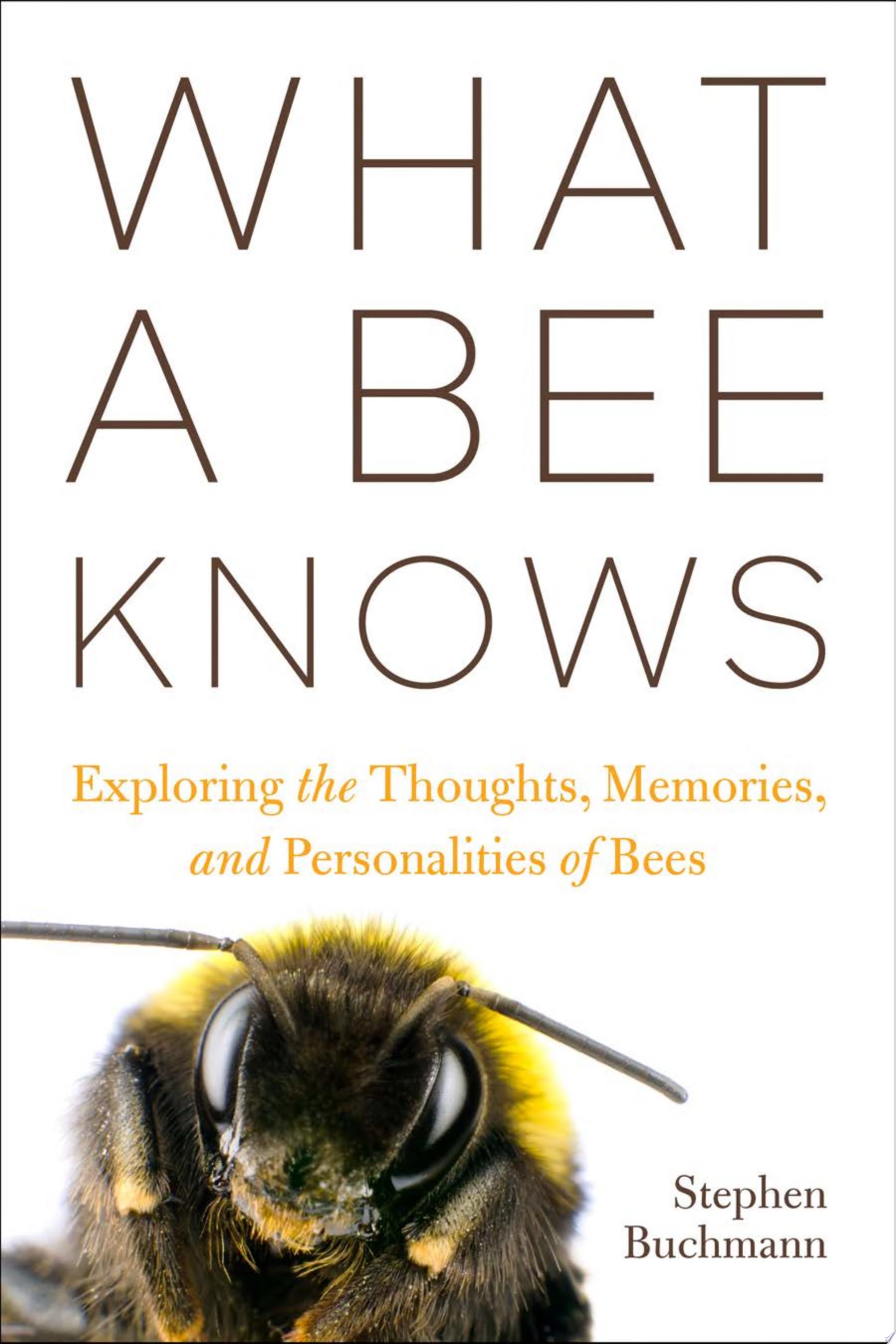 Image for "What a Bee Knows"