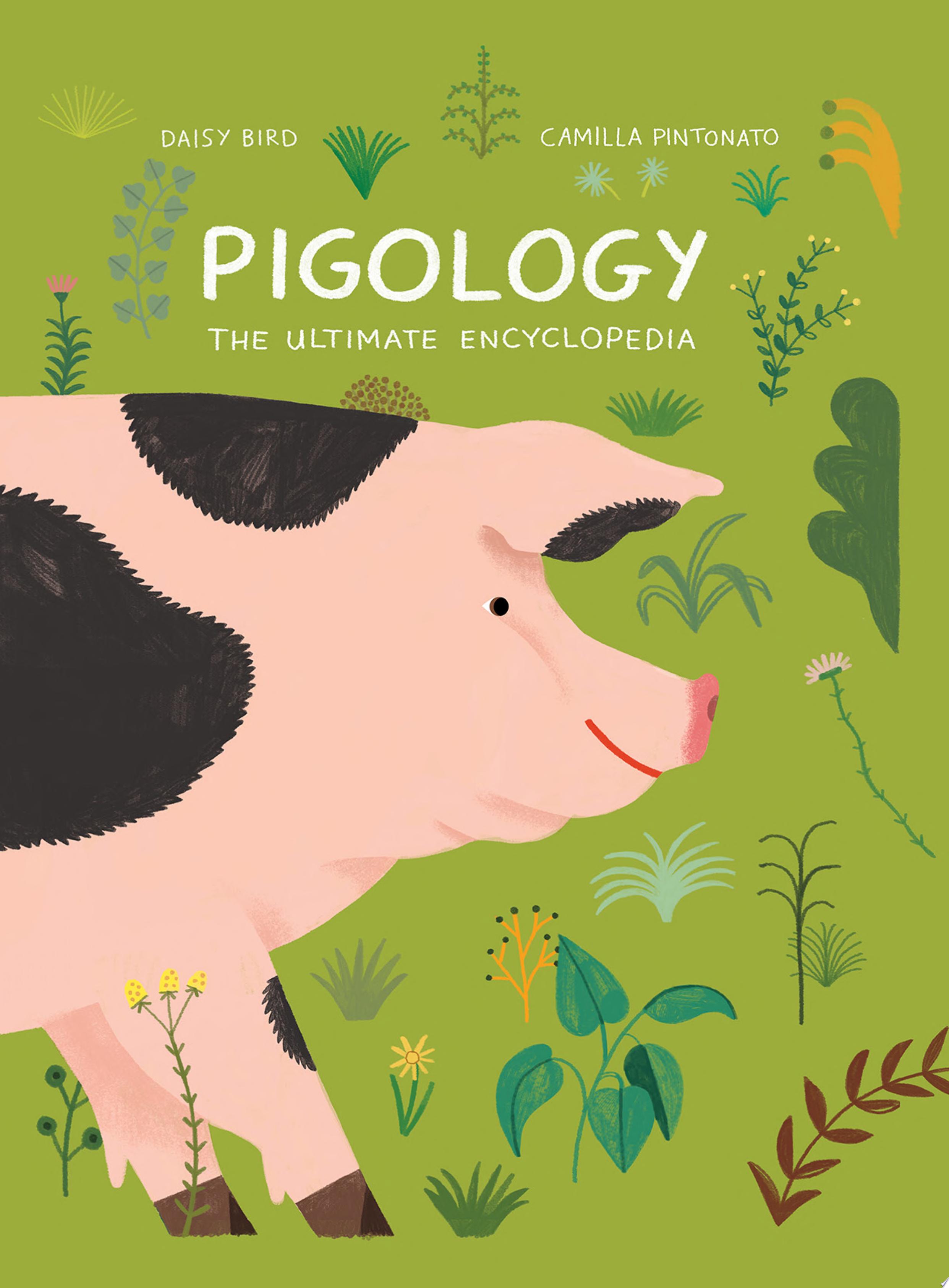 Image for "Pigology"
