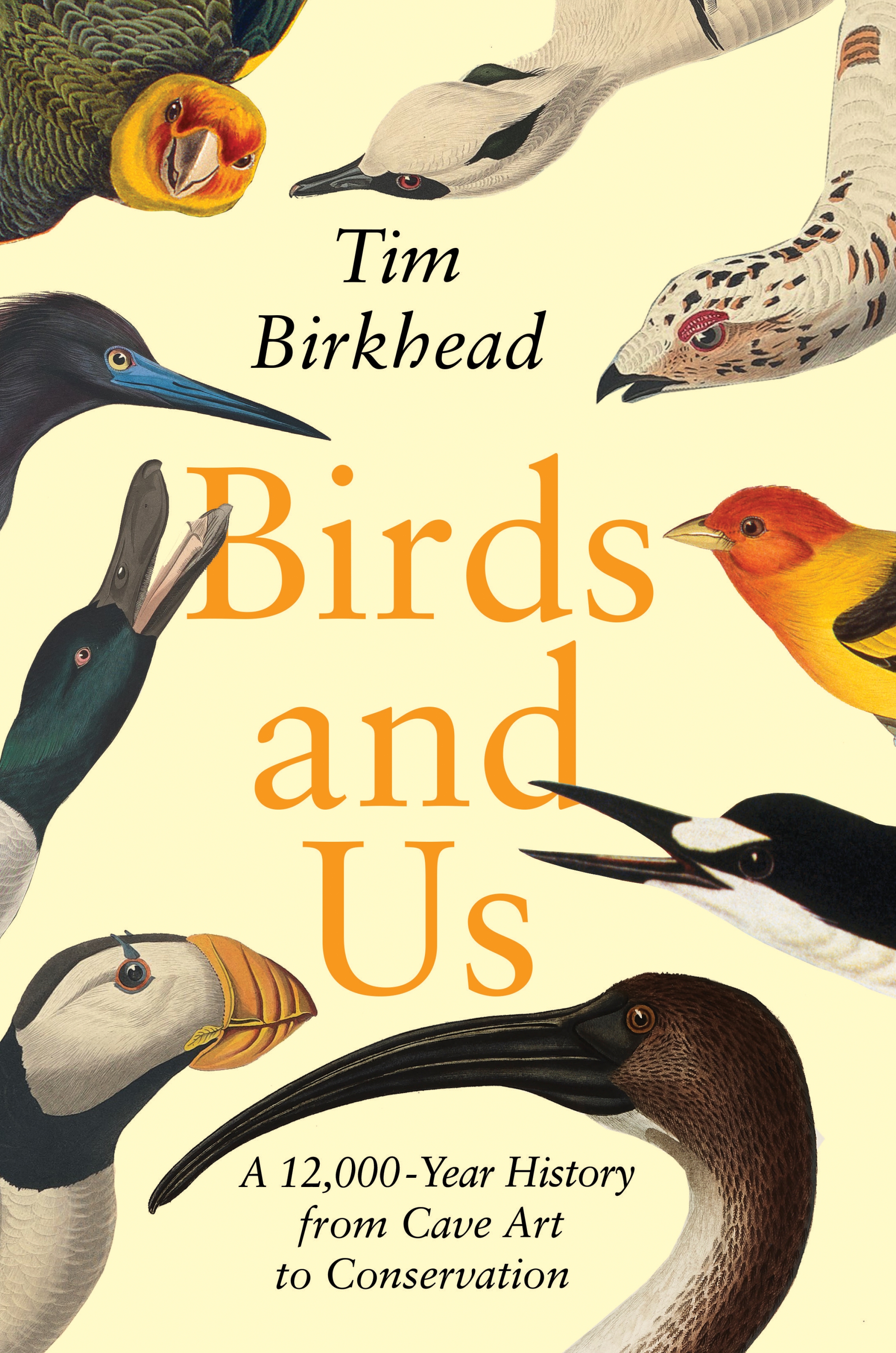 Image for "Birds and Us"
