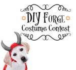 DIY Costume Contest