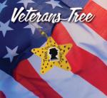 Image of the American flag with a silhouette of a veteran