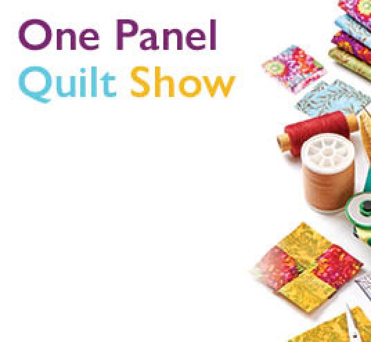 One Panel Quilt Show